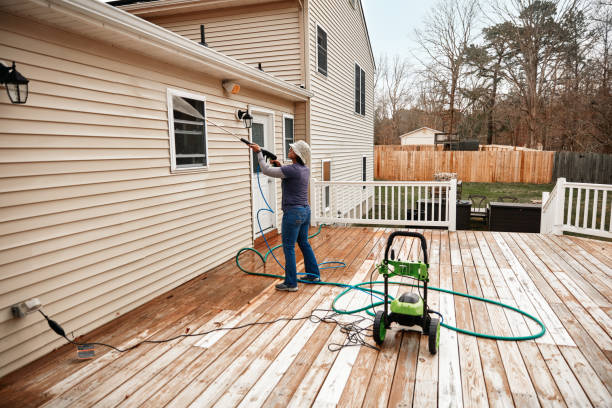 Best Roof Pressure Washing  in Denison, TX