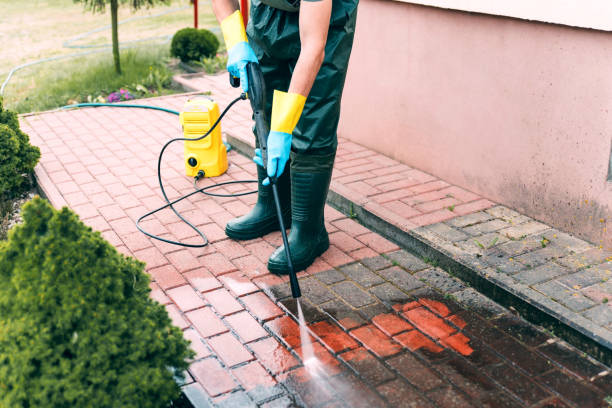 Best Roof Power Washing Services  in Denison, TX