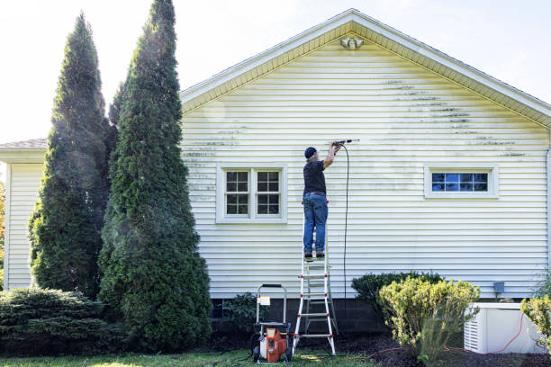 Pressure Washing Brick in Denison, TX