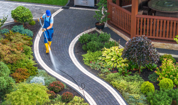 Best Pressure Washing Company Near Me  in Denison, TX